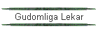 Gudomliga Lekar
