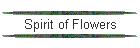 Spirit of Flowers